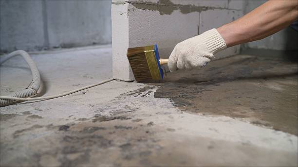 SJ Waterproofing Pros Sump Pump Installation coverage map for Coden, AL and surrounding area